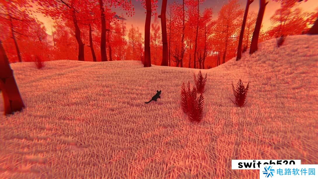 【美版】遗失的字条 .A Lost Note 英语_1