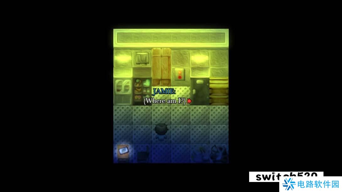 【美版】夜间访客 .Nocturnal Visitors 英语_5