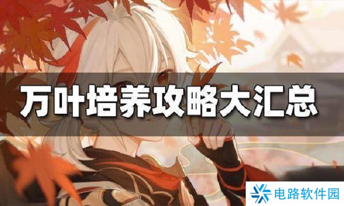 万叶怎么养 原神枫原万叶培养攻略