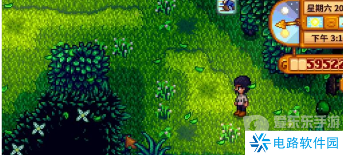 星露谷物语森林怎么解锁 森林解锁方法介绍