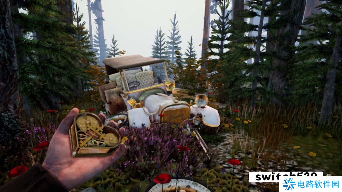 【美版】灰色黎明 .Gray Dawn 英语_3