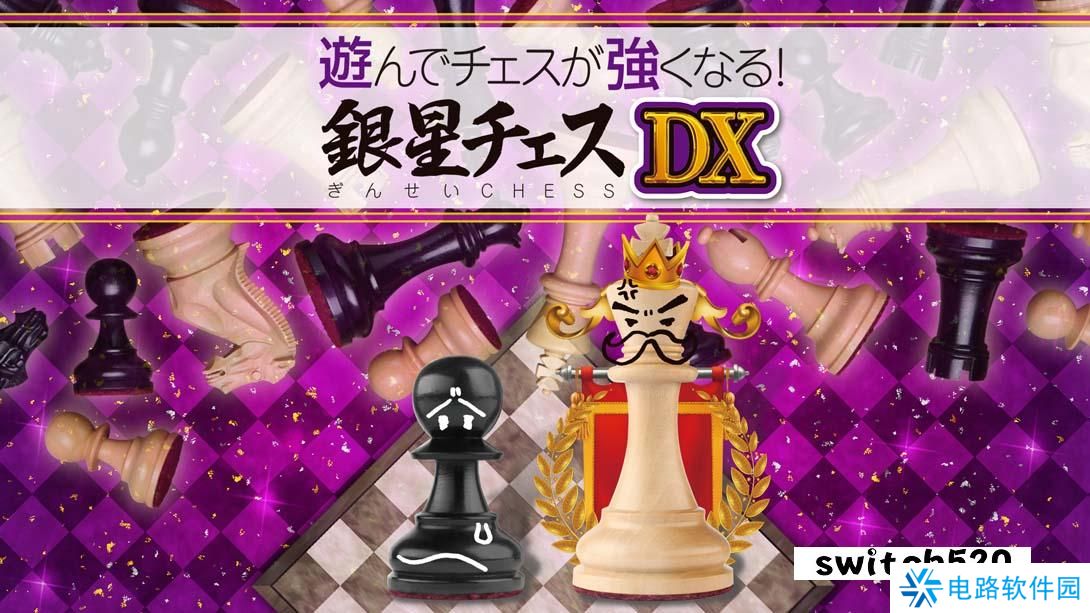 【日版】下棋变得变强! 银星国际象棋DX .遊んでチェスが強くなる！ 銀星チェスDX 日语_0